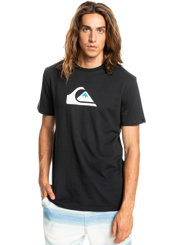 Футболка мужская Quiksilver Complogoss M Tees, фото 1