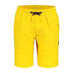 Шорты мужские Icepeak Adair