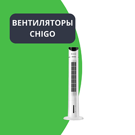 Chigo жанкүйерлері