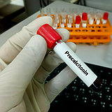 Порно ресейлік бастық жалауға мәжбүр болды Порно блят орыс аналары