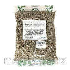 Хвощ, трава 50гр., фото 1