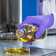 Статья про культивирование микроорганизмов