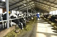 Проект по производству животноводческой продукции стоимостью 3,5 млрд тенге реализуется в Казахстане