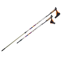 Палки для скандинавской ходьбы Carbon GTS