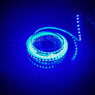 Лента светодиодная WAVE 2835 120/м 5мм 12V/9,6W 2x5м ГОЛУБОЙ IP20 (кратно 5), фото 3