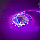 Лента светодиодная WAVE 2835 120/м 5мм 12V/9,6W 2x5м УЛЬТРАФИОЛЕТОВЫЙ IP20 (кратно 5), фото 4