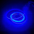 Лента светодиодная WAVE 2835 120/м 5мм 12V/9,6W 2x5м СИНИЙ IP20 (кратно 5), фото 3