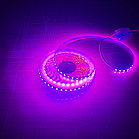 Лента светодиодная WAVE 2835 120/м 5мм 12V/9,6W 2x5м РОЗОВО-КРАСНЫЙ IP20 (кратно 5), фото 3