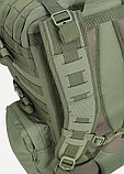 Ранец тактический Сплав Bercut 50 олива (OneSize), фото 6