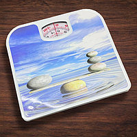 Механические напольные весы до 120 кг Health scale принт камни