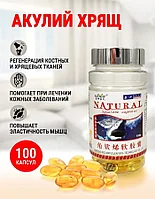 Акулий хрящ / средство от артрита, ревматизма, остеохондроз, ослабленного иммунитета, хондроза 100 капсул