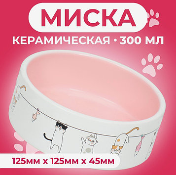 Миска керамическая Веселые котики, 300 мл
