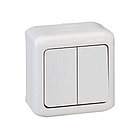 Выключатель двухклавишный Legrand Forix 10A 250В IP44 накладной белый