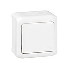 Выключатель без фиксации (кнопка) Legrand Forix 6A 250В IP44 накладной белый