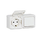 Выключатель с крышкой + Розетка Legrand Forix 16A 250В IP44 накладной белый