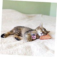 Пойыздағы минет (орыс)