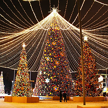 Уличные каркасные елки