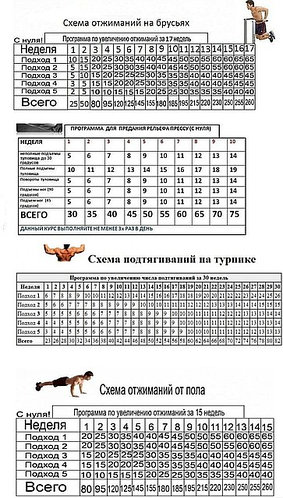 Программа тренировок на шведских стенках