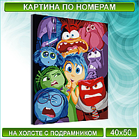 Картина по номерам "Головоломка" (40х50)