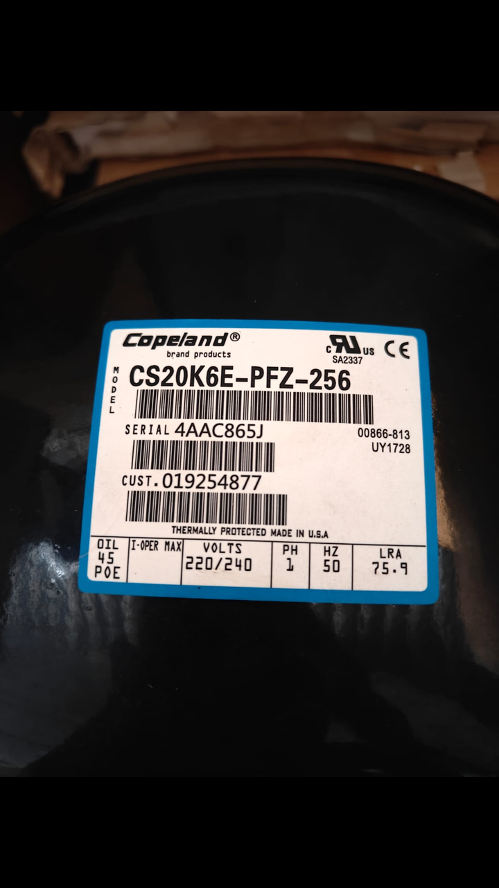 CS20K6E-PFZ-256