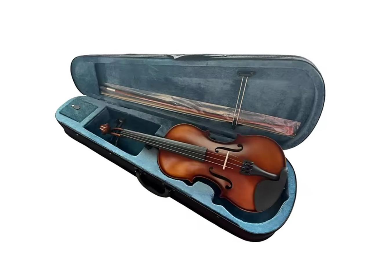 Скрипка Violin GVT04 4/4 массив ели и клена, фото 1