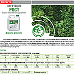 Bona Forte Удобрение Professional Жидкое РОСТ ВЕГЕТАЦИЯ фаза 2,5 (канистра), 5л, фото 3