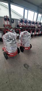 Іші-сырттағы есектер