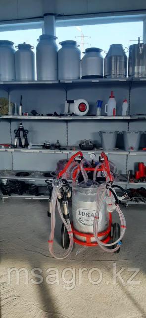 Мен үйде брюнетка Оляны сиқтым.