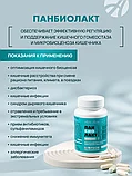 Панбиолакт (Panbiolact) - синбиотик нового поколения, Арт Лайф, 60 капсул, фото 6