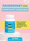 Панбиолакт Кидс (Panbiolact Kids), Арт Лайф, 60 капсул, фото 2