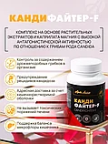Кандифайтер-F (Candifighter-F) - защита от кандидоза, Арт Лайф, 90 капсул, фото 3
