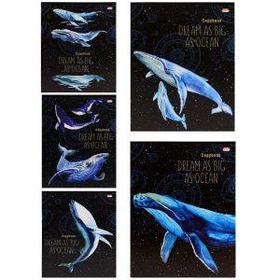 Тетрадь "Киты в космосе", А5, 48 листов, клетка