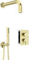 Набор для душа скрытого монтажа, со смешивающим BOXом - с душевой головкой Deante Silia, брашированное золото