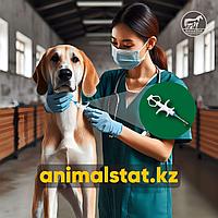 Чипы для собак идентификация животных подкожный одноразовый шприц микрочип RFID FDX-B ISO11784 AnimalStat