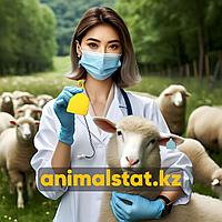 Бирки для овец МРС идентификация ушные радиочастотные двойные одинарные отправка в день заказа AnimalStat