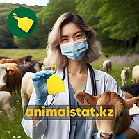 Ушные бирки для КРС идентификация ушные радиочастотные двойные одинарные срочная доставка AnimalStat