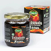 Жағажайдағы жылдам секс фотосы