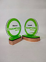 Корпоративные бюджетные статуэтки