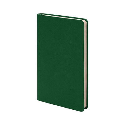 Бизнес-блокнот FUNKY, формат А6, в клетку , 21214/15/30