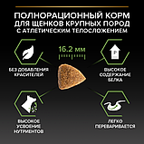 Pro Plan Puppy Large Athletic, Про План корм для щенков крупных пород с курицей, уп. 12кг., фото 6