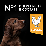 Pro Plan Puppy Large Athletic, Про План корм для щенков крупных пород с курицей, уп. 12кг., фото 4