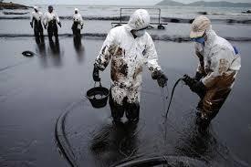 Применение сорбентов для сбора нефти на воде