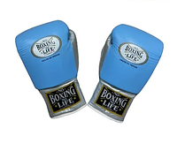 Кожаные боксерские перчатки "No Boxing No Life" 16 OZ