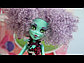 Кукла Монстр Хай Хани Свамп, Monster High Freak du Chic - Honey Swamp, фото 4