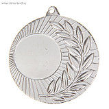 Медаль под нанесение диаметр 5 см. (золото, серебро, бронза), фото 3