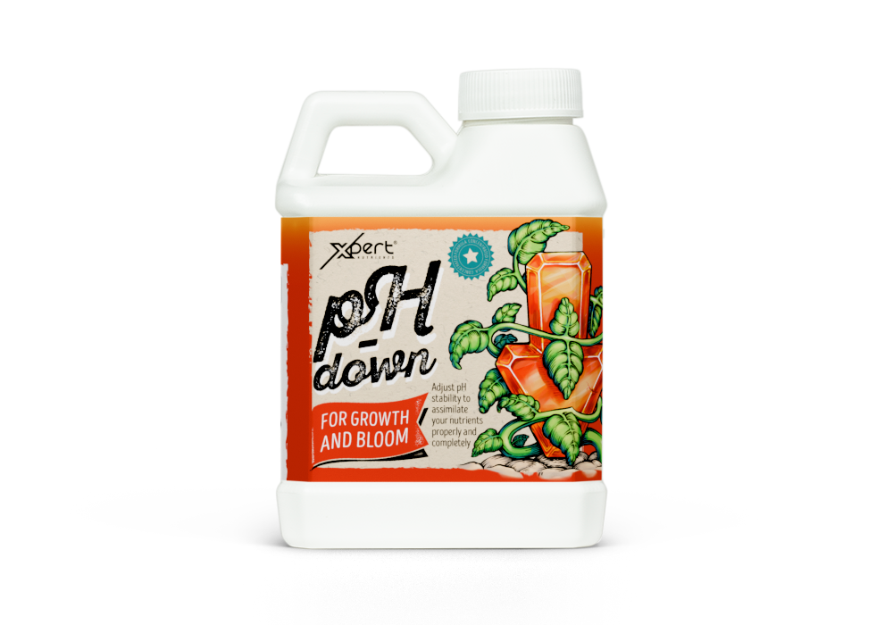 Ph Down 0.25 L (Xpert Nutrients), фото 1