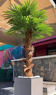 Менің жалқау күтушім