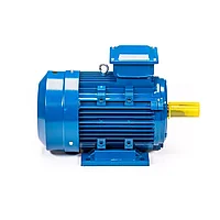 Электродвигатель асинхронный трехфазный 5АИ 100 L4 4/1500 1081 4 кВт / ГОСТ об.мин (5АИ, А, АДМ)