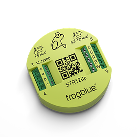 Многофункциональный 4-х канальный LED RGBW контроллер - frogStrip120e