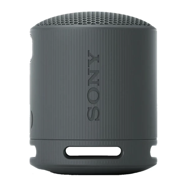 Sony XB100 Grey, фото 1